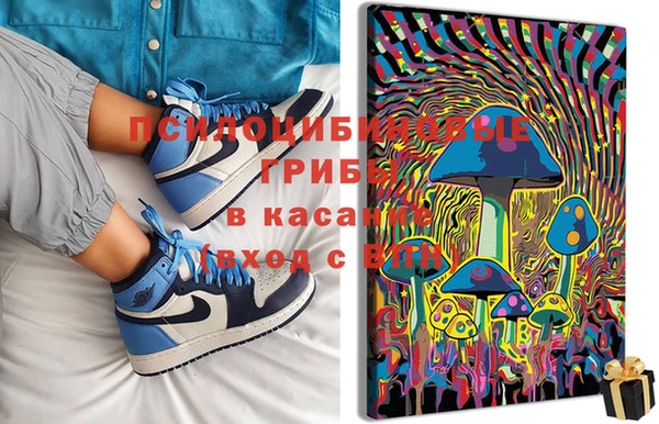 MESCALINE Нязепетровск