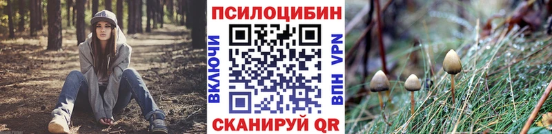Галлюциногенные грибы мицелий  Купить  Знаменск 